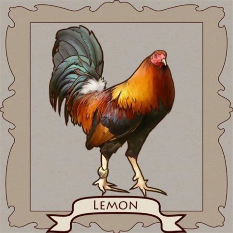 Gamefowl Fighting Styles! » Reach Unlimited.